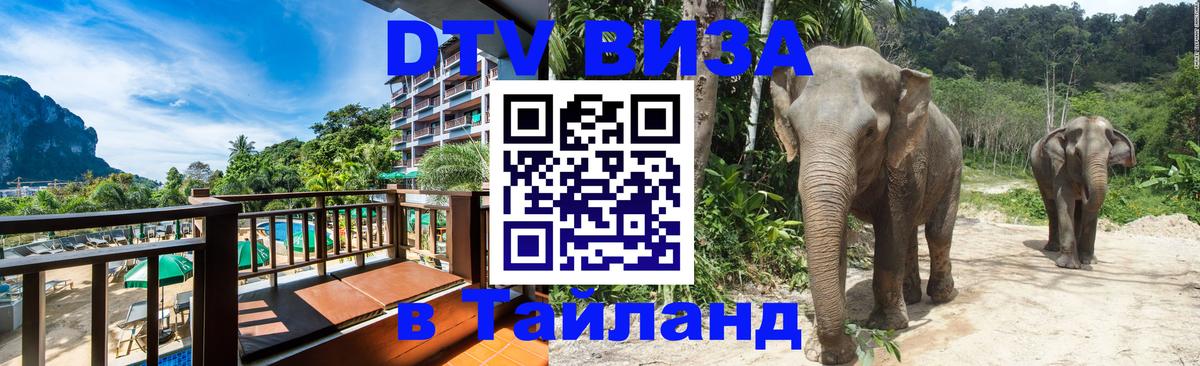 Оформить DTV визу в Тайланд Мурманск 